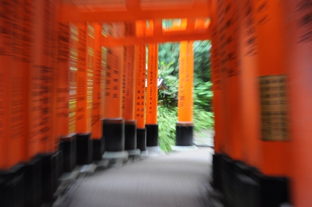 Fushimi Inari-Taisha, running